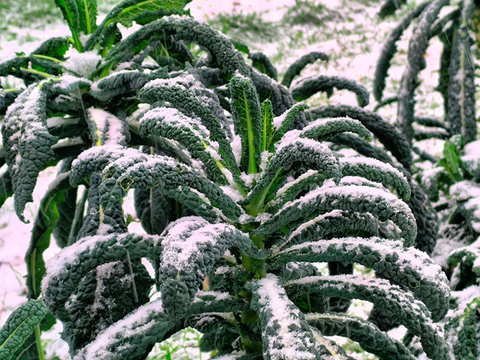 photo 2025 01 20 10 11 03