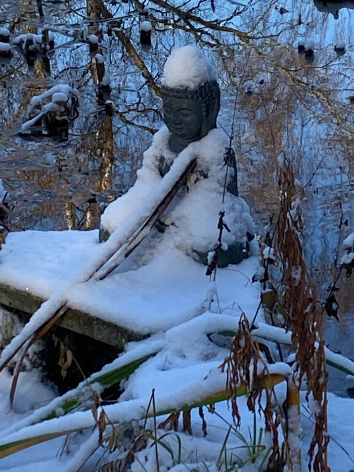 photo 2025 11 25 08 29 11 2