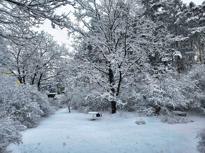 photo 2026 01 06 13 40 05